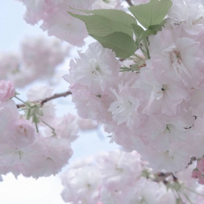 Furry角色动作绘画技巧兽圈社群